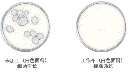 專(zhuān)業(yè)除甲醛