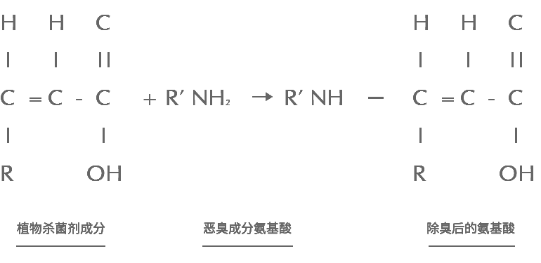 專(zhuān)業(yè)除甲醛